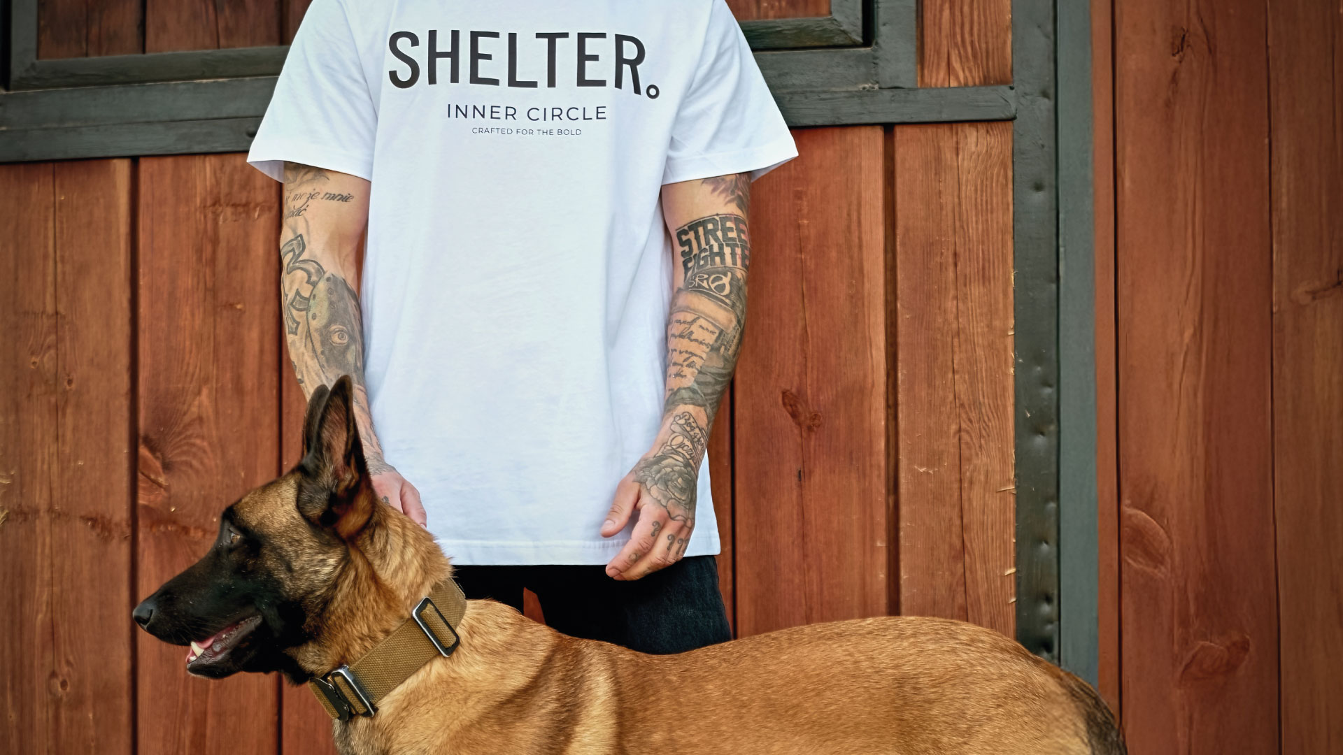 Home view Image from Shop.Divi.expert